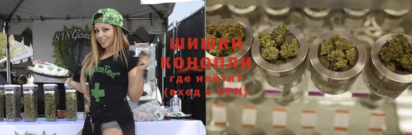 стаф Карпинск