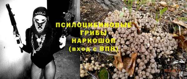 стафф Касимов