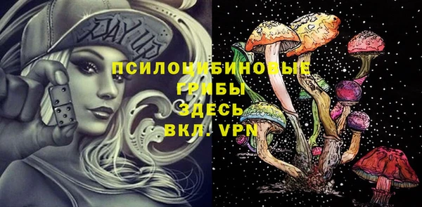твердый Карталы