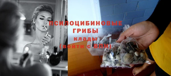 стафф Касимов
