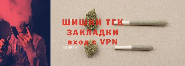 стаф Карпинск