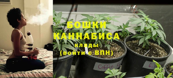 дживик Киренск