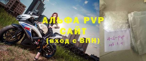 стафф Касимов