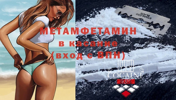 стафф Касимов