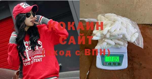 стафф Касимов