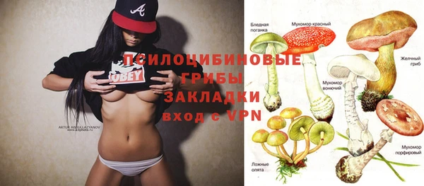 стафф Касимов