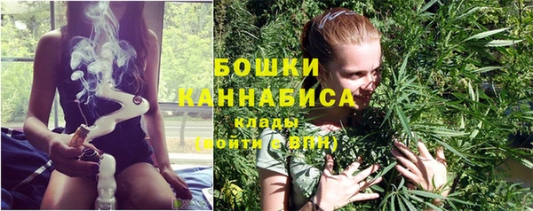 стафф Касимов