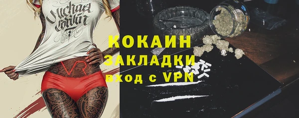 стафф Касимов