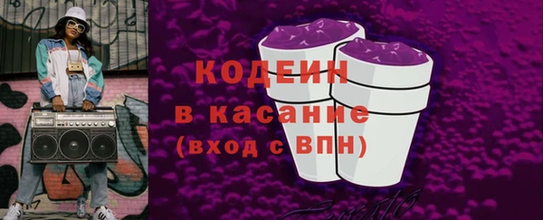 стафф Касимов