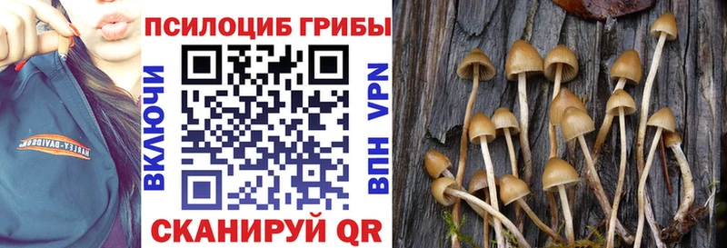 Псилоцибиновые грибы GOLDEN TEACHER Мытищи