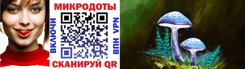Галлюциногенные грибы MAGIC MUSHROOMS  Купить закладки  Мытищи 