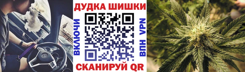 Купить закладки  Мытищи  Бошки Шишки индика 